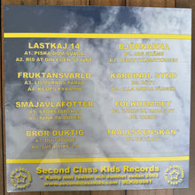 Ladda upp bild till gallerivisning, Sveriges Jävla Blindtarm (12” LP Samling Svart Vinyl)
