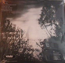 Lade das Bild in den Galerie-Viewer, Introspektivet - Att Få Flyga Bort (12´´ LP Vinyl)
