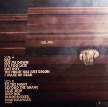 Load image into Gallery viewer, The Dahmers - In The Dead Of The Night (12´´ LP Glow in the dark vinyl)
